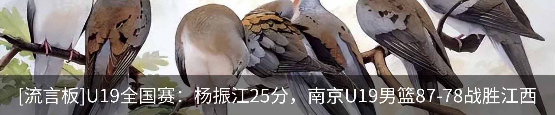行业资讯